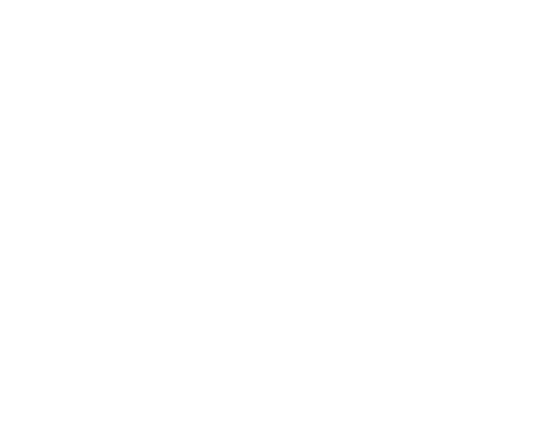 Netcare logo